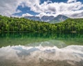 Alpsee near fuessen, bavaria, germany