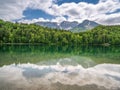 Alpsee near fuessen, bavaria, germany