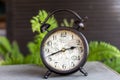 Alram clock in the garden Royalty Free Stock Photo