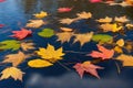 Already yellowed maple leaves in late autumn, forest in late autumn, yellow leaves in water in the rain, late autumn background Royalty Free Stock Photo