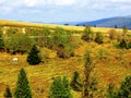 Alsace, field of Markstein, hostel Le Steinlebach