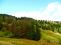 Alsace, field of Markstein, hostel Le Steinlebach