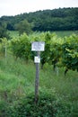 Alsace landscape and vinewyard