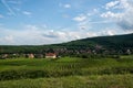 Alsace landscape and vinewyard