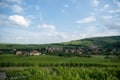 Alsace landscape and vinewyard