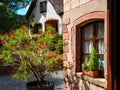 Alsace`s sun-drenched gingerbread houses. Tiled roofs, flowers all around, the summer sun is shining. Beauty