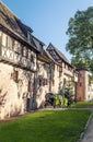 Alsace street with trees Royalty Free Stock Photo