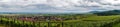 Alsace view from the top of hill Royalty Free Stock Photo