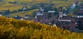 Alsace village, with vineyard, Riquewhir. France