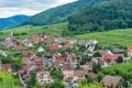 Alsace village, vineyard, Riquewhir, France, Europe, Automn