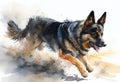 Alsatian pet dog watercolour portrait painting which is a popular canine purebred pedigree breed also known as a German Shepherd