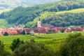 Alsatian village surrounded by vineyards Royalty Free Stock Photo
