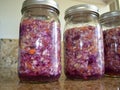 Quart Jars Fermented Red and Green Cabbage and Carrots