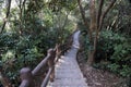 Stone stairway, stair, trail, footpath, country road, alley, lane in Hong Kong forest as background, Tsing Yi Nature Trails