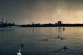 Alster Lake in Hamburg Germany duck swan famous city park people rowing sailing panorama sky night cloud sundown