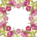 Alstroemeria. Beautiful Peruvian Lilly. Frame for text made of pink flowers. For background design, invitations Royalty Free Stock Photo