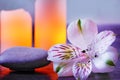 The alstroemeria flower lies on the stones for massage next to the lit candles