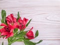 Alstroemeria flower wood background frame decoration beauty