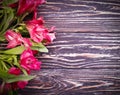 Alstroemeria flower  summer   background frame decoration beauty Royalty Free Stock Photo