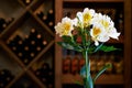 Alstroemeria flowers in a wine shop Royalty Free Stock Photo