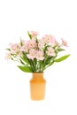Alstroemerias in a vase Royalty Free Stock Photo