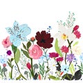 Alstromerias, fucisia, roses, vanilla, cosmos flower. Border design spring summer meadow seamless pattern Royalty Free Stock Photo