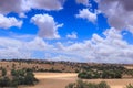 Golden wheat field and blue sky with clouds. Royalty Free Stock Photo