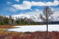 Altai Lake Kodelyukyol