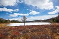 Altai Lake Kodelyukyol