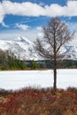 Altai Lake Kodelyukyol