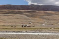 Altai, Mongolia - June 14, 2019: Camel team in steppe with mountains in the background. Altai, Mongolia