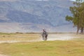 Altai, Mongolia - June 14, 2017: Mongolian men ride motorbike at steppe field on mountain background Concept authentic local asian