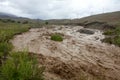 Altai mountain rapid muddy river Royalty Free Stock Photo