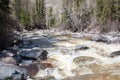 Altai mountain river in forest Royalty Free Stock Photo