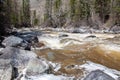 Altai mountain river in forest