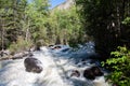 Altai mountain river in forest Royalty Free Stock Photo