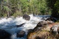 Altai mountain river in forest Royalty Free Stock Photo