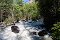 Altai mountain river in forest Royalty Free Stock Photo