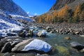 Altai Mountains Royalty Free Stock Photo