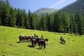 Altai Mountains