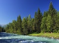 The beautiful Katun river in Altai Mountains, Russian