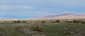 Altai mountains. Beautiful highland landscape