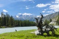 Altai mountains. River Argut. Beautiful highland landscape. Russia. Siberia