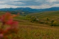 Altai mountains road Royalty Free Stock Photo
