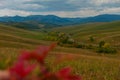 Altai mountains road Royalty Free Stock Photo
