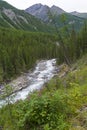 Altai Mountains. The Shawla River. Siberia, Russia.