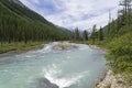 Altai Mountains. The Shawla River. Siberia, Russia.