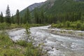 Altai Mountains. The Shawla River. Siberia, Russia.