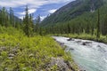 Altai Mountains. The Shawla River. Siberia, Russia.