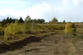 Western Siberia. Foothill landscape in the Charyshsky district of the Altai Territory Royalty Free Stock Photo